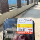 GS25 민락폴리점 | 첫 2박 3일 캠핑 < 가평 물소리 캠핑장 >