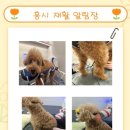 더본 외과동물의료센터 이미지