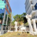 (주)라온메디칼 이미지