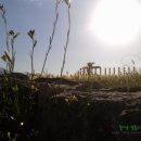 푸른온천목욕탕 이미지