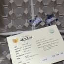 조아유통 | 아침을 거른다면?구운란 추천! 탱글한 에그조아 구매후기