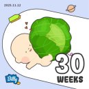 마매 떡볶이 | 나무야 반가워 5. 임신 30주 - 33주 기록 (폭풍태동, 태동검사, 만삭사진, 빨래 시작..!)