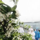 신효동-21 이미지