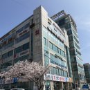 라움103 | 부산 광안리 가성비 뷰좋은 숙소 라움103 오션브릿지프리미엄룸 내돈내산 후기