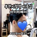 마이헤어 - 군산시 하신3길 35 | 부천시청역 미용실 마이피헤어 다운펌 솔직후기