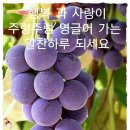 포미 이미지