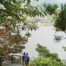 백마강길 이미지