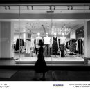 Show Window 쇼윈도우 이미지