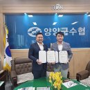 법무법인대웅