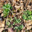 승모농장 이미지