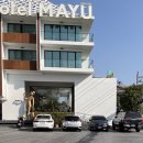 White sunday(화이트선데이) | [치앙마이 여행 준비] 치앙마이 1월 날씨/자유여행/가족여행/4박 5일 일정/성수기 경비/코스/코끼리...