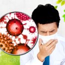 송산그린시티공인중개사사무소 이미지