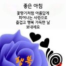 '60대 이후의 우리네 인생' 이미지