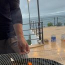 스테이다옴 이미지