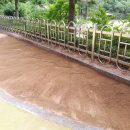 학정초교 병설유치원 이미지