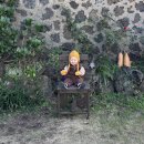 귤한가 | 16개월 아기랑 제주 여행 - 제주 감귤 체험 스냅 카페 &#39;귤한가&#39; 스냅(&amp;셀프스냅) 내돈내산 후기