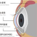 무등산약국 이미지
