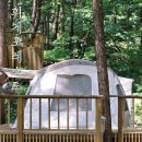 만수중앙의원 | 별이 쏟아지는 휘게포레스트에서 8월 여름휴가 보내기