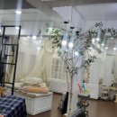 삼은부부한의원 이미지