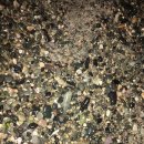 르이데아(Leidea) 이미지