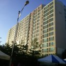 평화로04 이미지