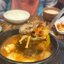 매일올레돈 이미지