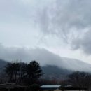 고매책방