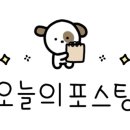 다모아손칼국수 이미지