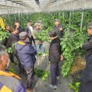 함덕농업협동조합 이미지