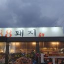 카카오 이미지