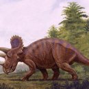 트리케라톱스-3 이미지