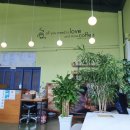 당촌리카메 이미지