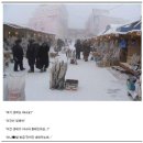 보배수산 이미지