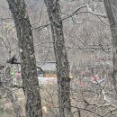 오천읍 해와달 이미지