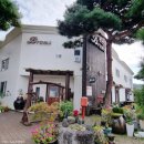 브람스펜션 | 정읍 내장산 여행 숙소추천 브람스펜션 첼로 내돈내산 솔직후기