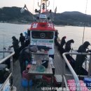 베짱이피싱 이미지