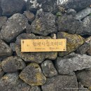 씨유 제주아름점 | 제주도 협재에서의 시작, 11월 제주 (여행 3일차 기록)