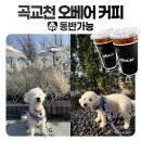 오베어커피