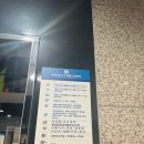 정자동 회덮밥 손선생회 정자역 점심 포항 물회, 회덮밥 후기