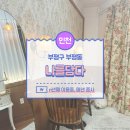 부평 컬러 증명사진 증사 나를담다