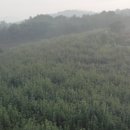 요미야미 이미지