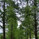 남부코스 이미지