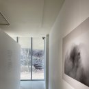 닻미술관 | 《 무경계 No Boundaries 》 - 닻미술관 사진전 전시 후기