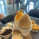 카페바다봄 | 속초] 오션뷰 끝판왕! 빙수 맛집 '속초카페 바다봄' 솔직 후기 (애플망고빙수, 옛날인절미빙수 내돈내산)