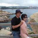 대왕바우 이미지