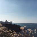 스마일 김밥카페 이미지