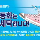 신발운동화이불크리닝 이미지