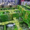 경북청과 이미지