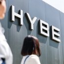 소노하이브 이미지