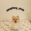 방울미용실 - 익산시 | 방울미용실